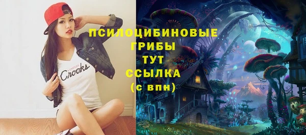 винт Алексин
