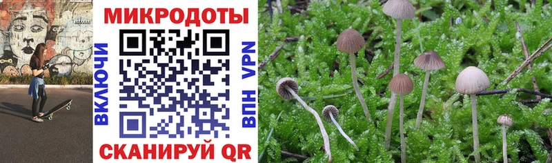 дарнет шоп  Починок  Псилоцибиновые грибы MAGIC MUSHROOMS 